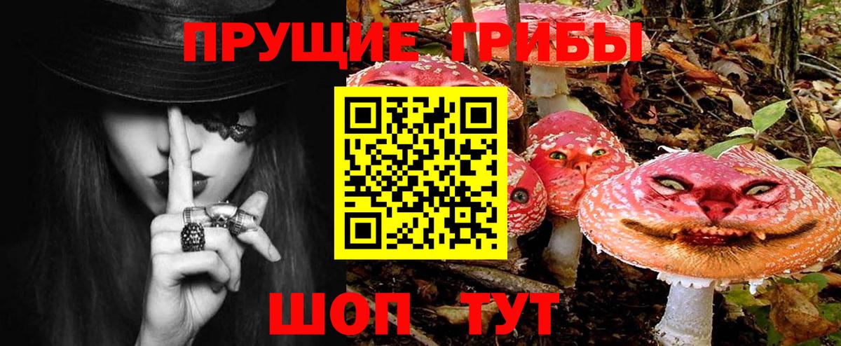 Псилоцибиновые грибы GOLDEN TEACHER Холмск