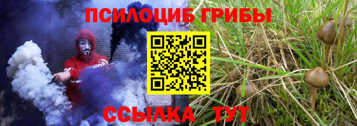Холмск  Псилоцибиновые грибы Psilocybine cubensis  где купить   Вход с VPN 